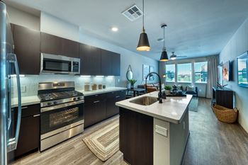 Modern kitchens with stainless steel appliances, gas ranges and quartz counters